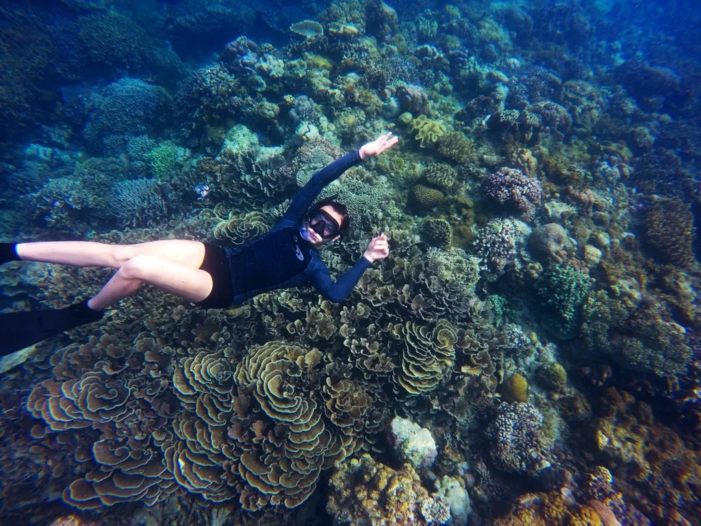 Snorkeling Tours